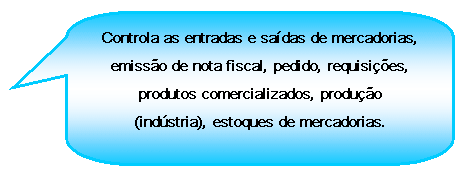 Texto explicativo retangular com cantos arredondados: Controla as entradas e sadas de mercadorias, emisso de nota fiscal, pedido, requisies, produtos comercializados, produo (indstria), estoques de mercadorias.


